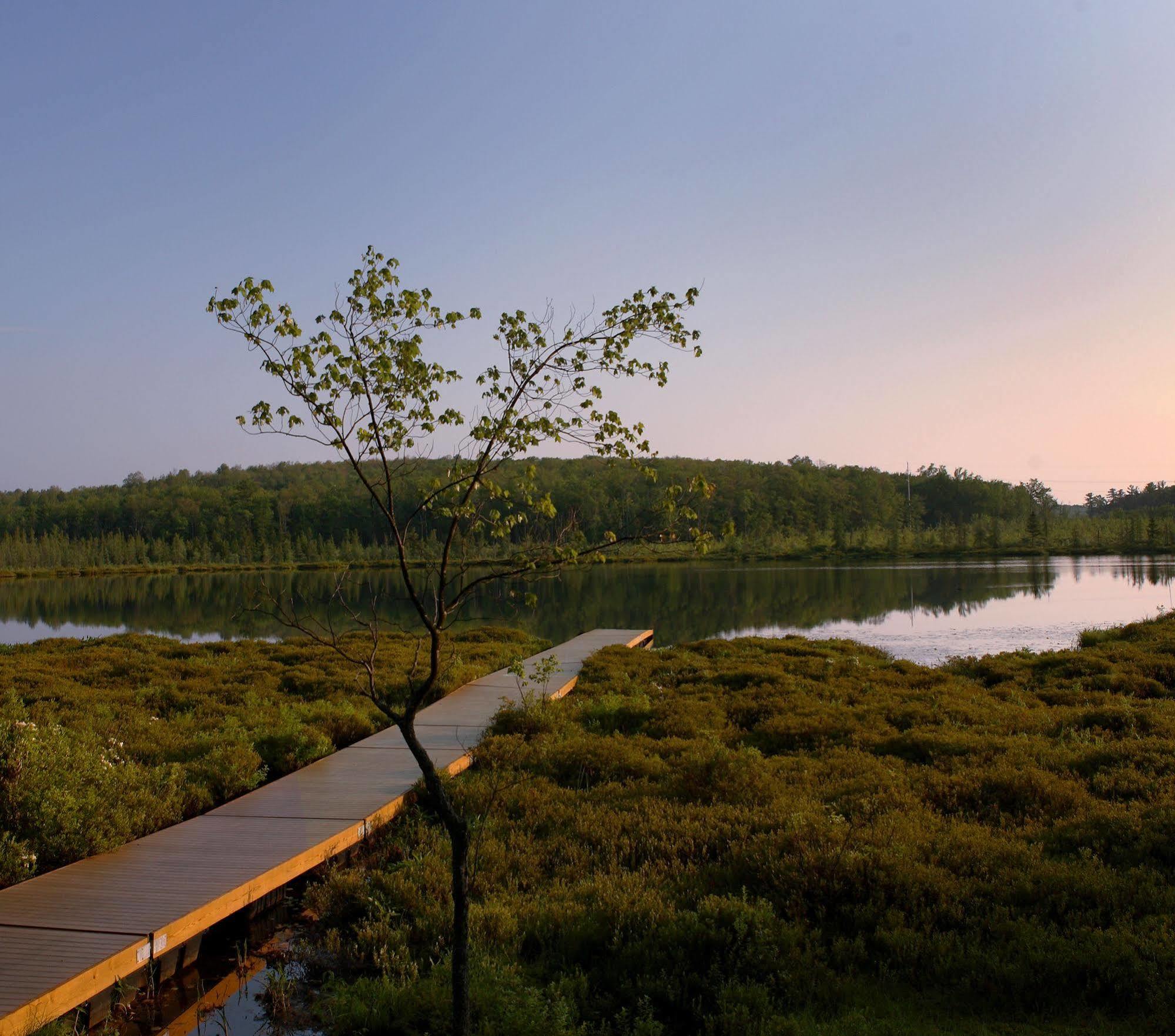 The Lodge At Woodloch 하울리 외부 사진